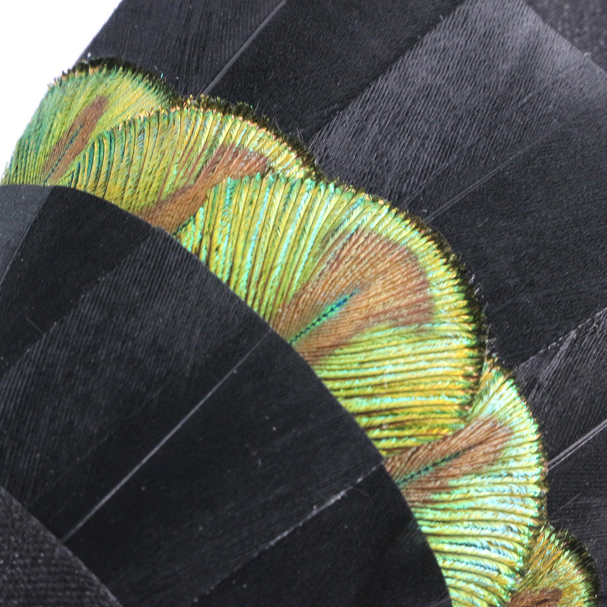 Black and Green Feather Bow Tie