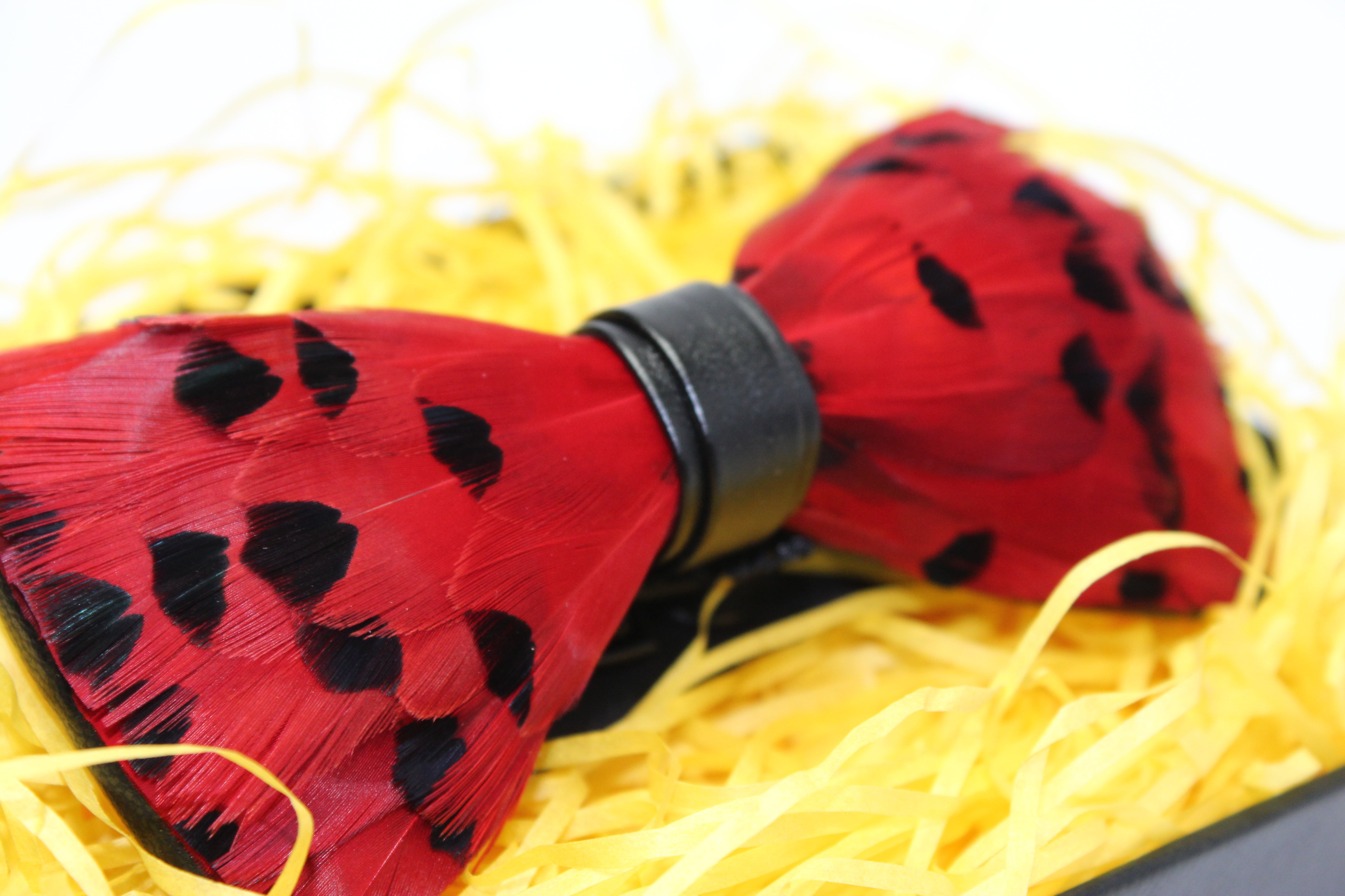 Red Feather Bow Tie