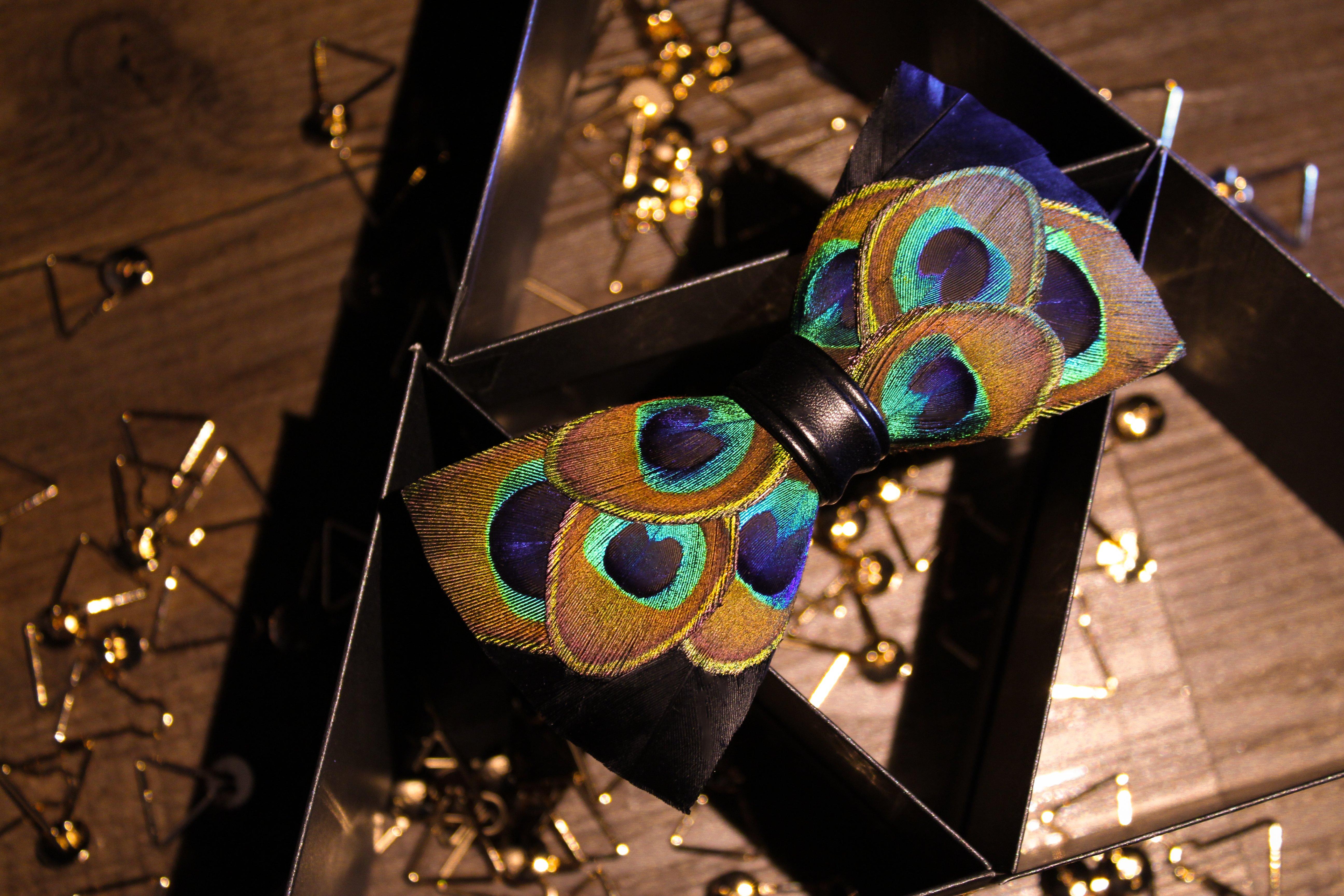 Peacock Eyes Feather Bow Tie