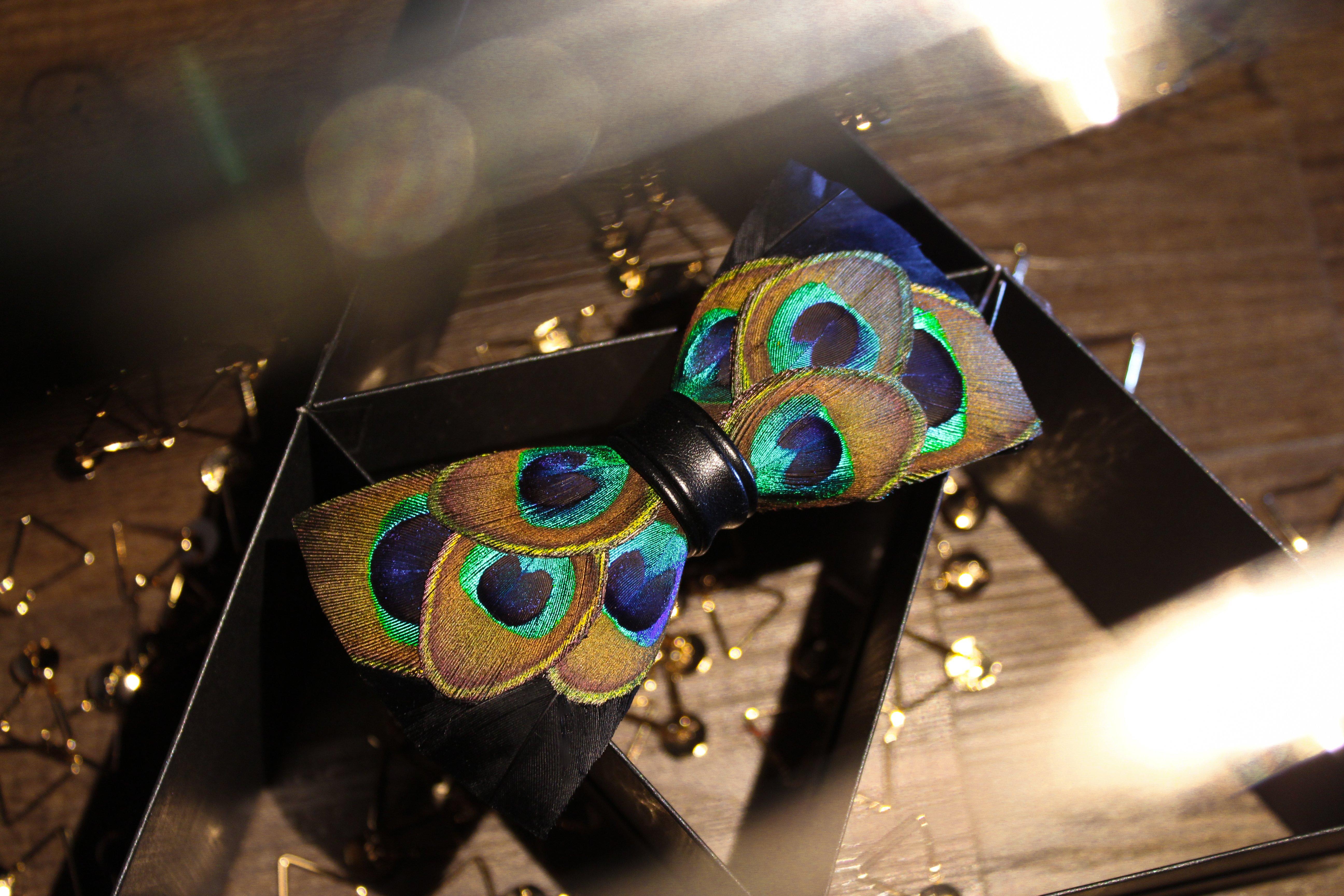Peacock Eyes Feather Bow Tie