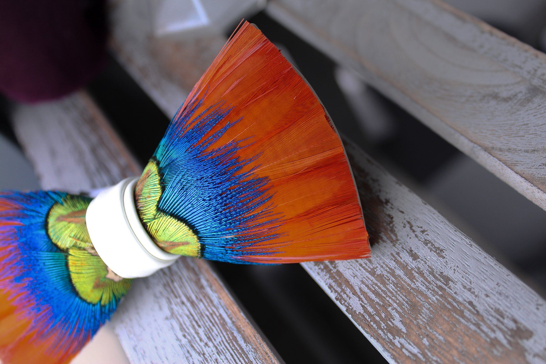 Vivid Island Feather Bow Tie