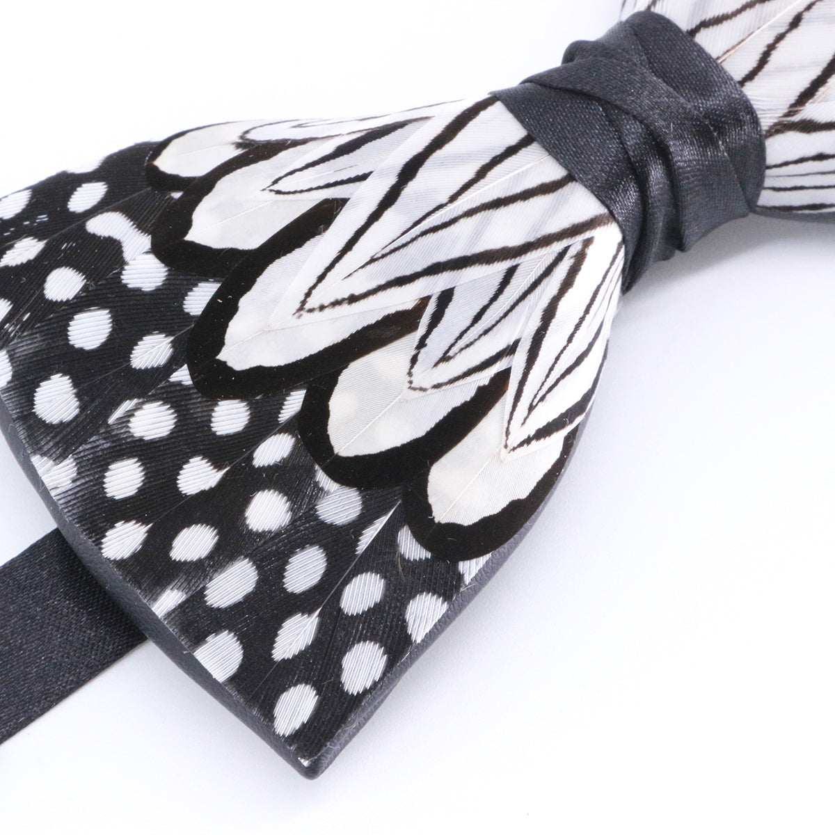 Black and White Polka Dot Feather Bow Tie