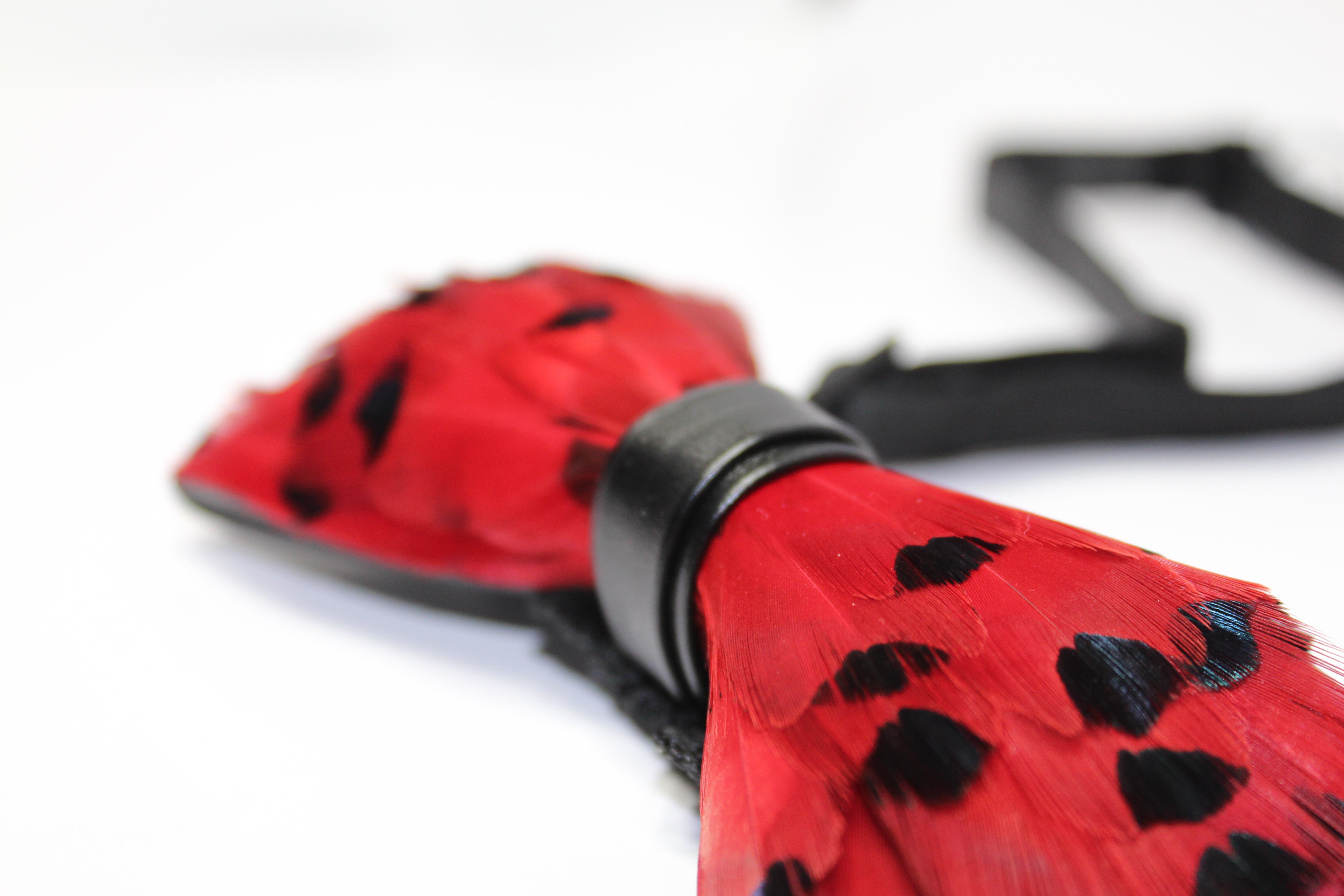 Red Feather Bow Tie