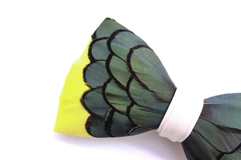 Butterfly Feather Bow Tie