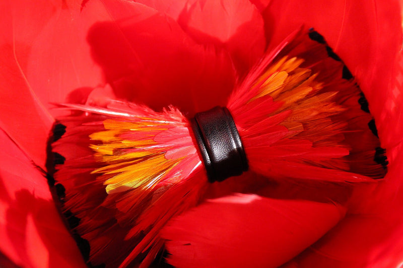 Crimson Camellias Feather Bow Tie