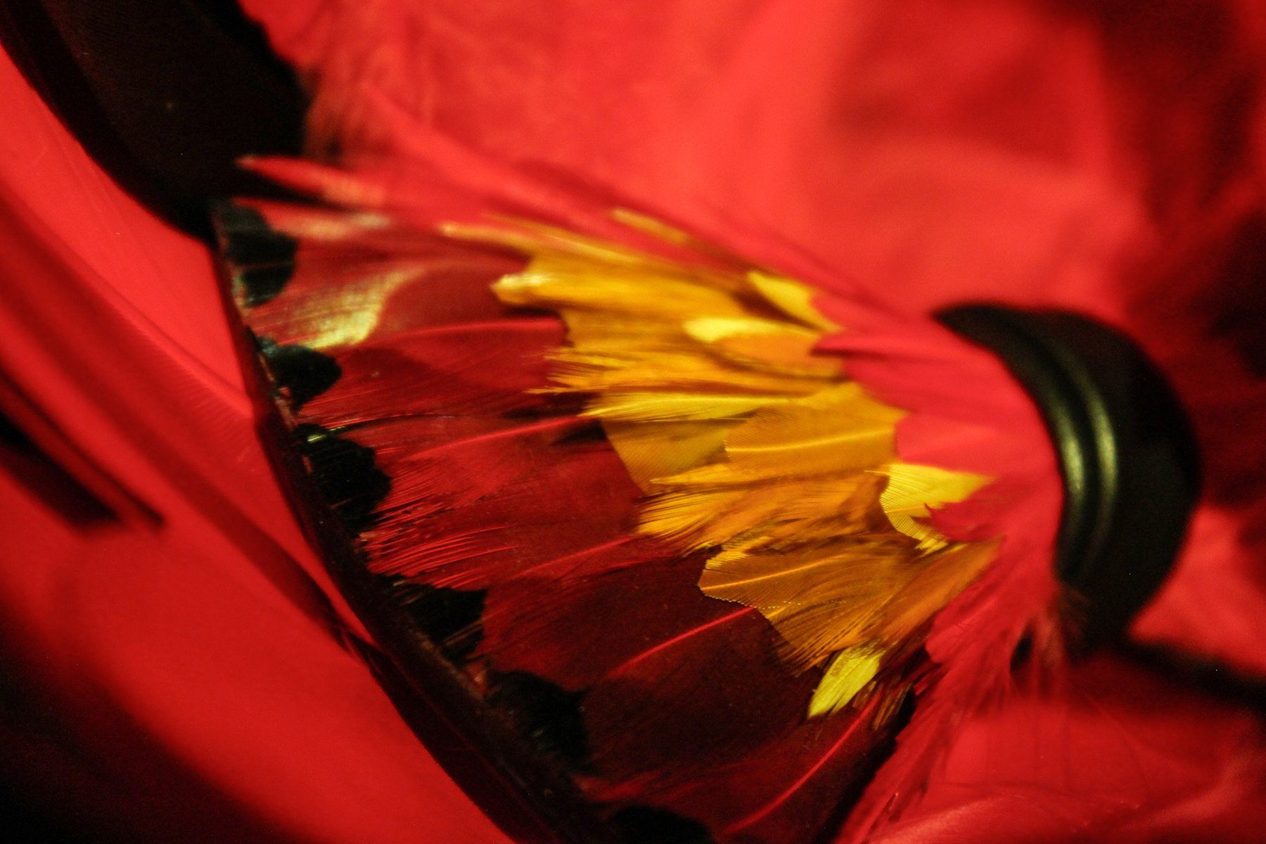 Crimson Camellias Feather Bow Tie