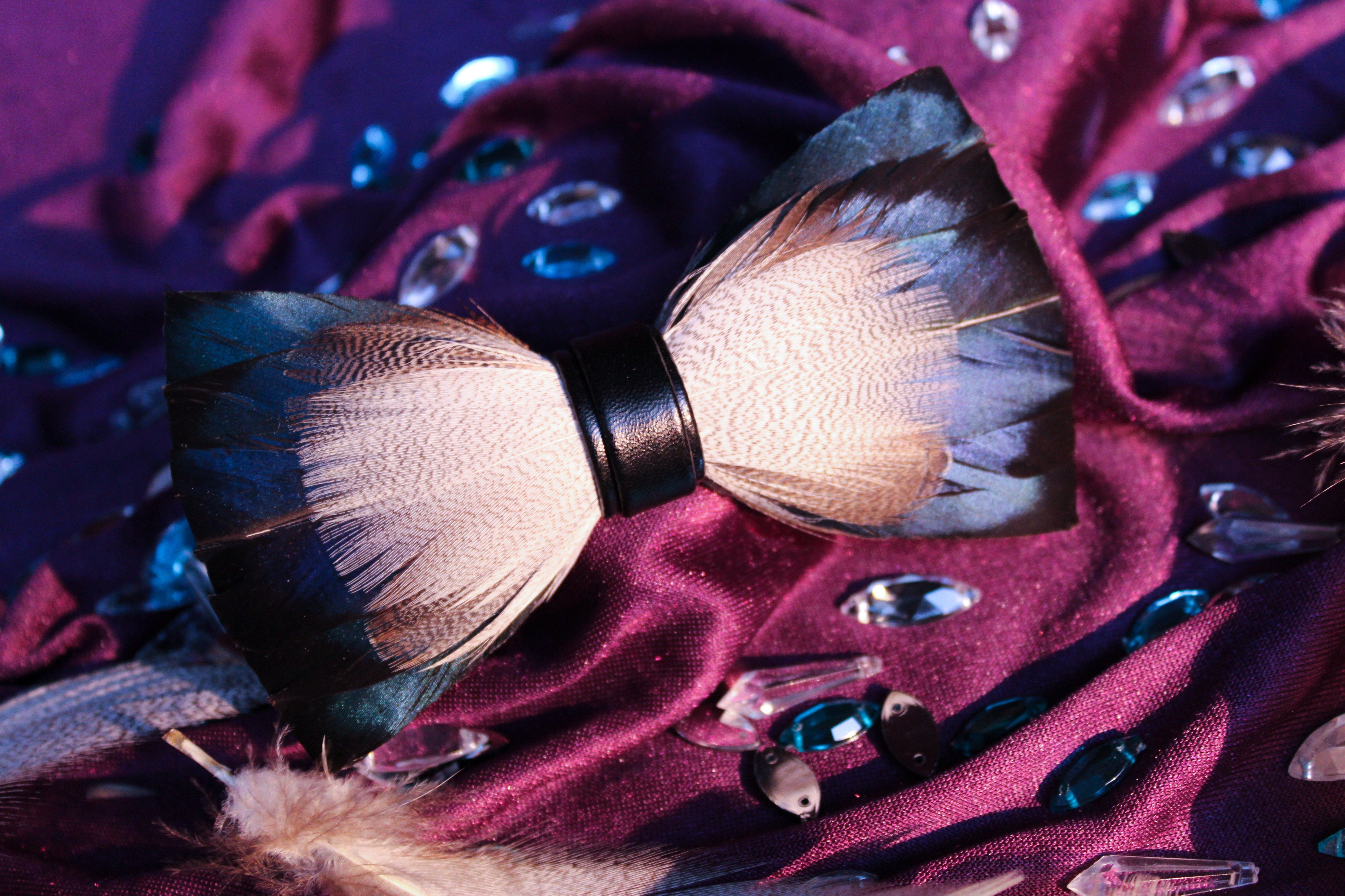 Mallard Duck Feather Bow Tie