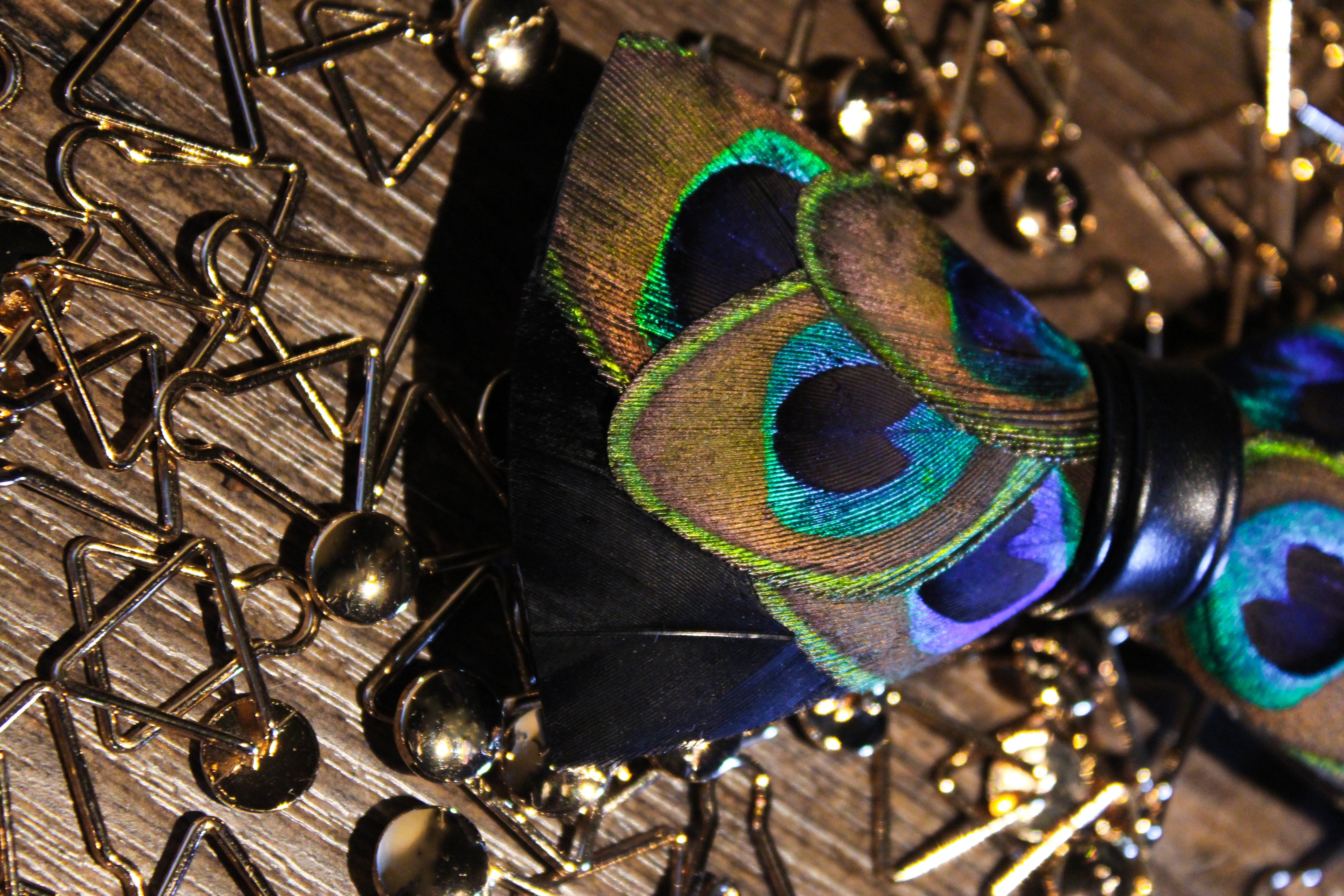 Peacock Eyes Feather Bow Tie