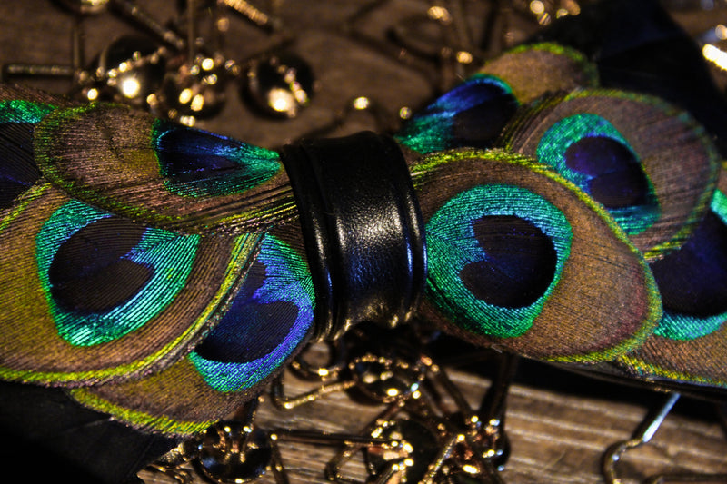 Peacock Eyes Feather Bow Tie