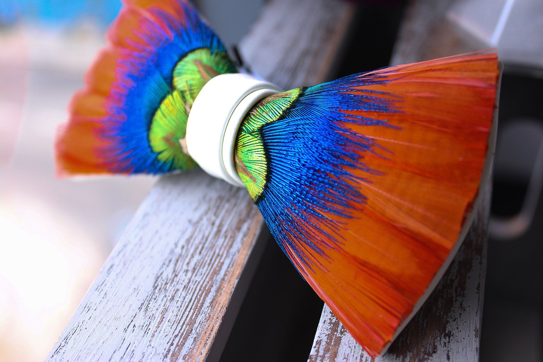 Vivid Island Feather Bow Tie