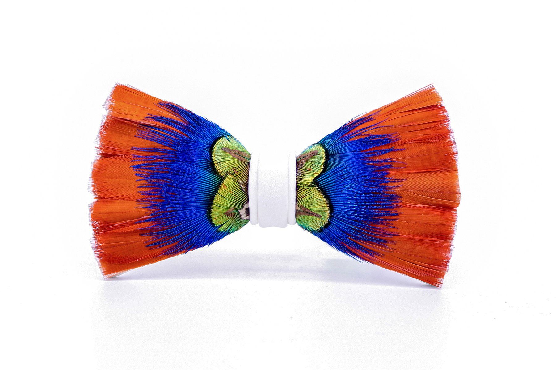 Vivid Island Feather Bow Tie